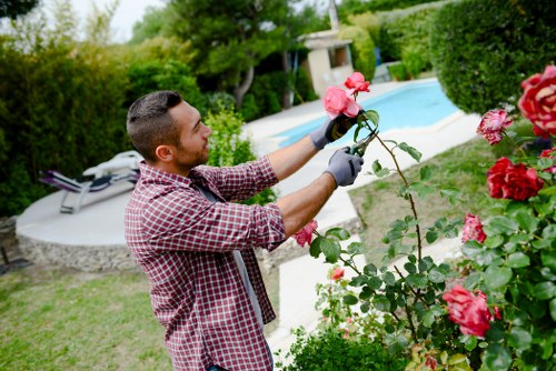Front view of a gardener inspecting a landscaped garden