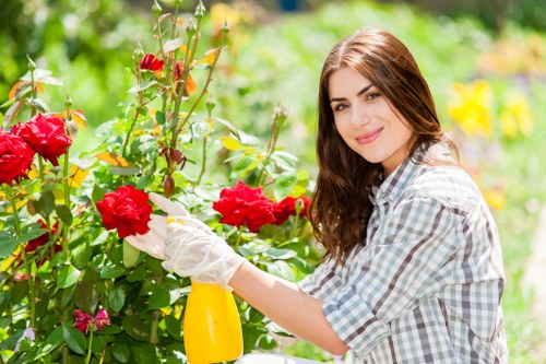Professional gardeners working in Stratford garden