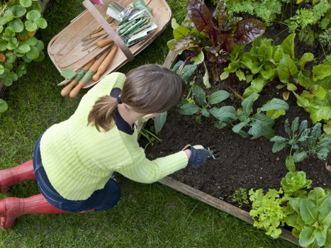 Donated plants and wood chips ready for reuse in local projects