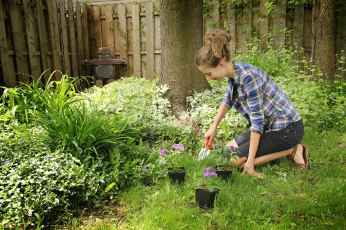 Sorted garden waste bins reflecting borough separation schemes