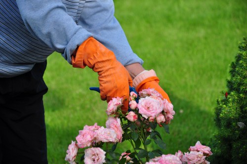 Professional hedge trimmer working on a hedge
