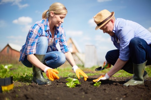 Gardener applying environmentally mindful maintenance practices